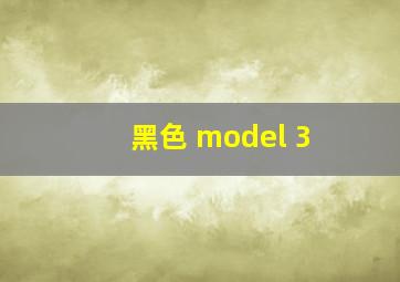 黑色 model 3